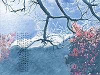 pc_graphics_058.jpg